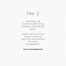 Load image into Gallery viewer, Stress Management Buddy Level 1