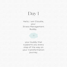 Load image into Gallery viewer, Stress Management Buddy Level 1